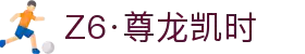 Z6·尊龙凯时「中国」官方网站